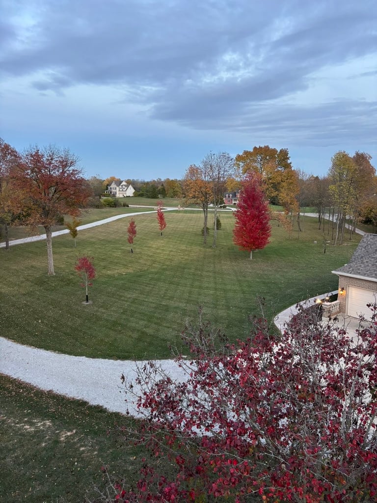 Autumn landscape featuring a manicured lawn with scattered red ornamental trees, curved walkway, distant houses, and cloudy sky