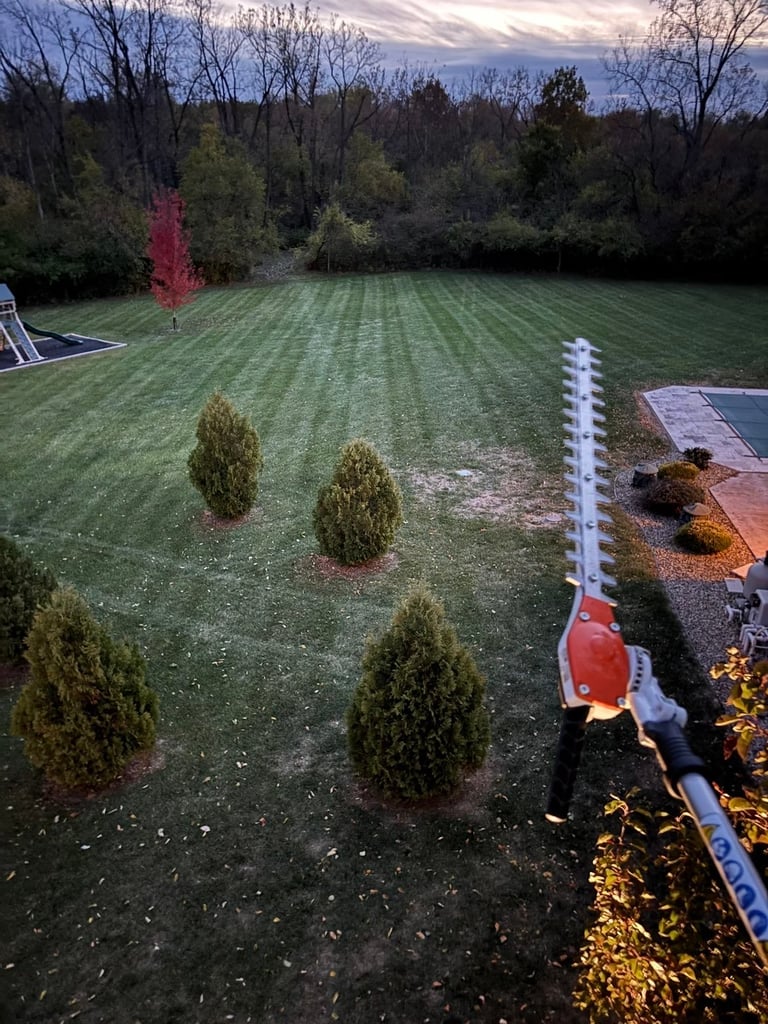 Manicured lawn with small evergreen shrubs at dusk, bordered by landscaping beds and treeline in background